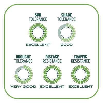 Image showing 9 th Pennington 10 lb. 200 sq. ft. Smart Patch Tall Fescue Grass Seed Mix
