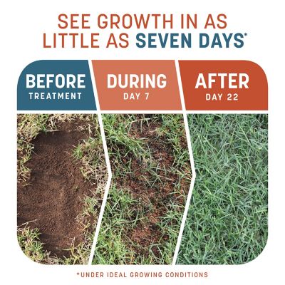 Image showing  10 lb. 200 sq. ft. Smart Patch Bermudagrass Mix
