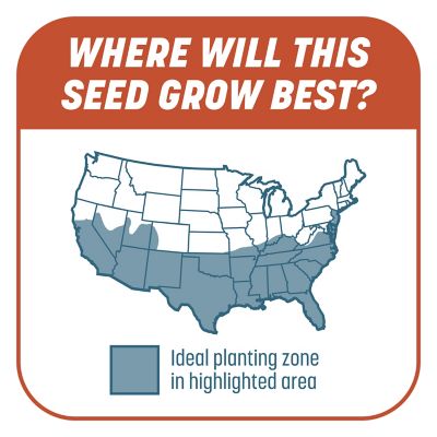 Image showing 7 th Pennington 10 lb. 200 sq. ft. Smart Patch Bermudagrass Mix