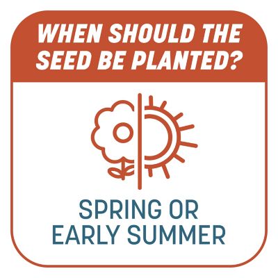 Image showing 8 th Pennington 10 lb. 200 sq. ft. Smart Patch Bermudagrass Mix