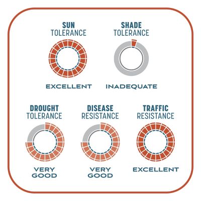 Image showing 9 th Pennington 10 lb. 200 sq. ft. Smart Patch Bermudagrass Mix