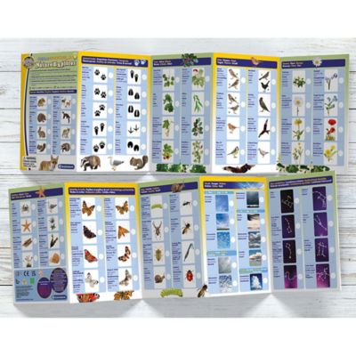 Image showing  Outdoor Adventure Nature Explorer - 5 Double-Sided Spotter Cards