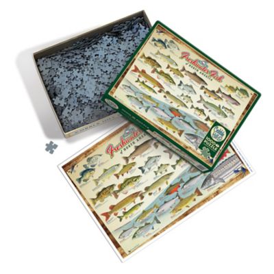 Image showing  1000 pc. Puzzle: Freshwater Fish Of North America