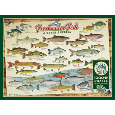 Image showing  1000 pc. Puzzle: Freshwater Fish Of North America