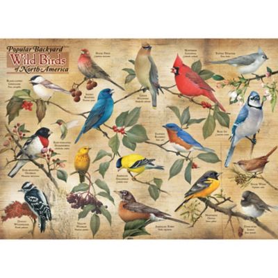 Image showing  Popular Backyard Wild Birds of North America 1,000 pc. Puzzle