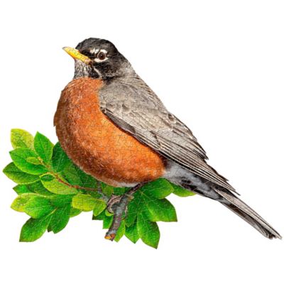 Image showing  Madd Capp: I AM ROBIN - 300 pc. Jigsaw Puzzle - Bird Shaped Puzzle