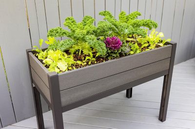 Image showing  The Elevated Escape Composite Garden Bed, 24 in. x 48 in. x 34.5 in.