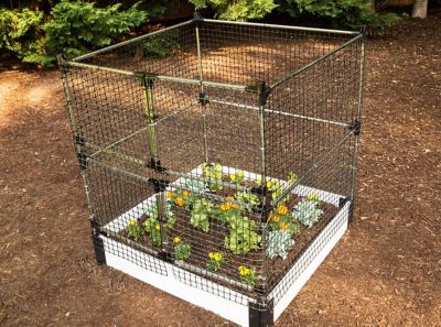 Image showing  48 in. Stack and Extend Animal Barrier