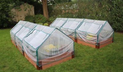 Image showing  4 ft. L x 4 ft. W Clear Extendable Cold Frame Greenhouse