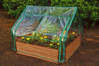 Image showing  4 ft. L x 4 ft. W Clear Extendable Cold Frame Greenhouse