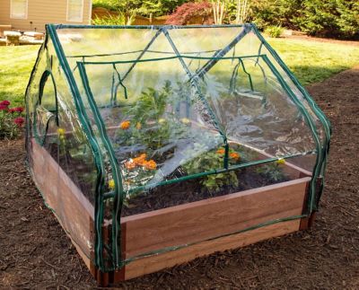 Image showing 6 th Frame It All 4 ft. L x 4 ft. W Clear Extendable Cold Frame Greenhouse