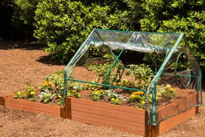 Image showing 8 th Frame It All 4 ft. L x 4 ft. W Clear Extendable Cold Frame Greenhouse