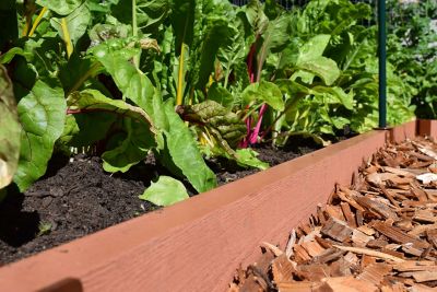 Image showing  Classic Sienna Straight Landscape Edging Kit 16 ft. - 2 in. Profile, 300001042