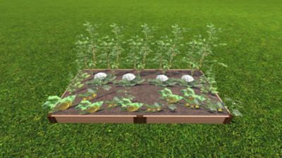 Image showing  Classic Sienna Raised Garden Bed 4 ft. x 8 ft. x 5.5 in. - 1 in. Profile, 300001063