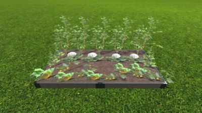 Image showing  Weathered Wood Raised Garden Bed 4 ft. x 8 ft. x 5.5 in. - 1 in. Profile, 300001421