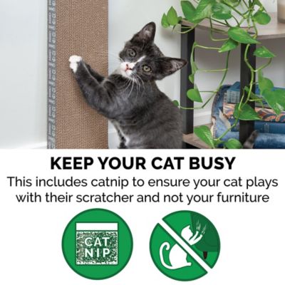 Image showing  Standard Wall-Mounted Corrugated Cat Scratcher 2-Pack with Catnip, Standard Size