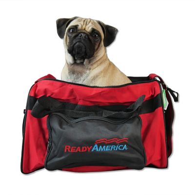 Image showing  Small Dog Evacuation Kit