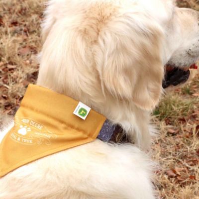 Image showing  Loyal & True Dog Bandana