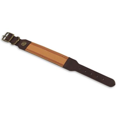 Image showing  Large Dog Collar