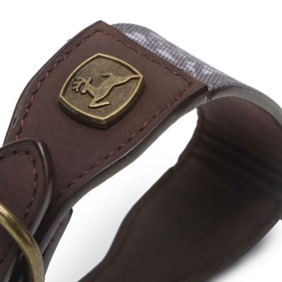 Image showing  Paisley Pattern Dog Collar, Small