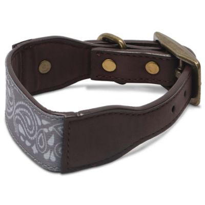 Image showing  Paisley Pattern Dog Collar, Small