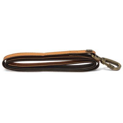 Image showing  Striped Pattern Dog Leash, 5 ft.