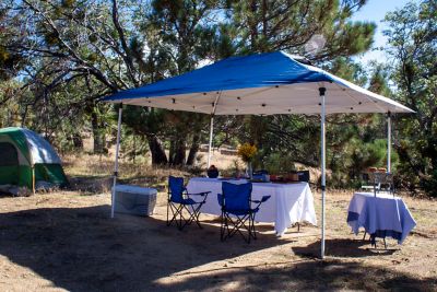 Image showing  14 ft. x 10 ft. Prestige Instant Canopy