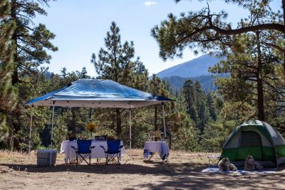 Image showing  14 ft. x 10 ft. Prestige Instant Canopy