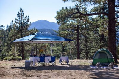 Image showing  14 ft. x 10 ft. Prestige Instant Canopy