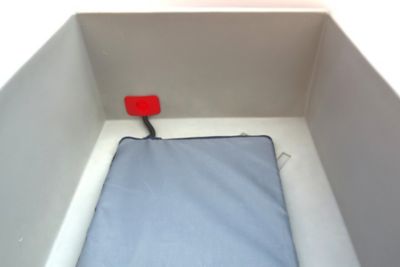 Image showing  Pet House Floor Heater