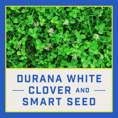 Image showing  7 lb. 1,400 sq. ft. Smart Seed Clover and Grass Mix