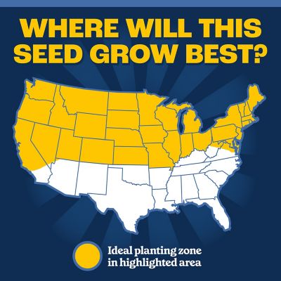 Image showing 9 th Pennington 7 lb. 1,400 sq. ft. Smart Seed Clover and Grass Mix