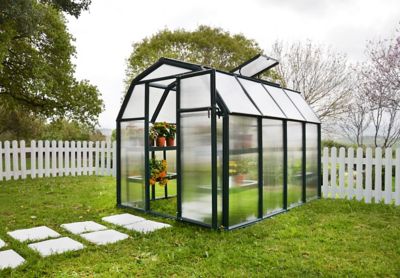 Image showing  EcoGrow 6 ft. x 8 ft. Greenhouse
