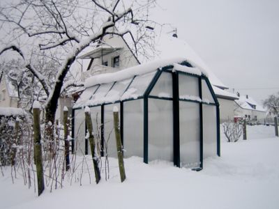 Image showing  EcoGrow 6 ft. x 8 ft. Greenhouse