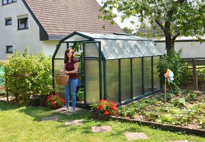 Image showing  EcoGrow 6 ft. x 10 ft. Greenhouse