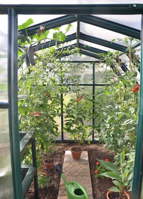 Image showing  EcoGrow 6 ft. x 12 ft. Greenhouse