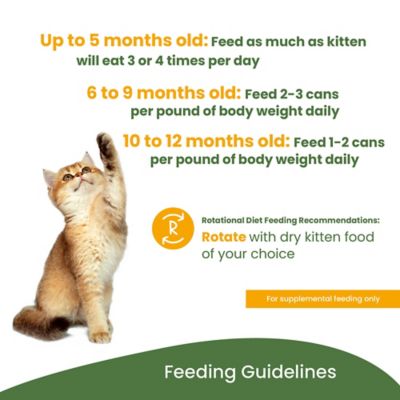 Image showing  Kitten HQS Natural Whitefish with Mackerel in Broth Wet Cat Food, 2.47 oz., Pack of 24