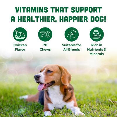 Image showing  Hip and Joint Pet Supplement