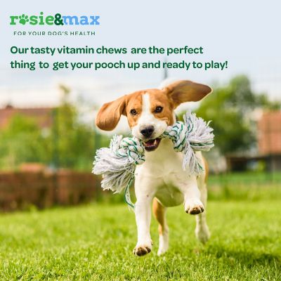 Image showing  Hip and Joint Pet Supplement