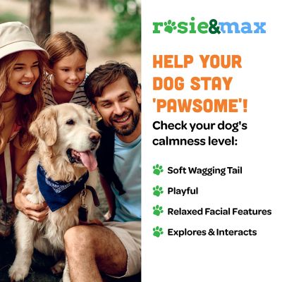 Image showing  Calm and Quiet Pet Supplement