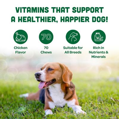 Image showing  Calm and Quiet Pet Supplement