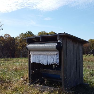 Image showing  Century Pest Doom Oiler