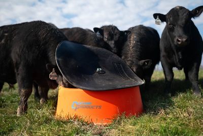 Image showing  Century Ground Level Mineral Feeder