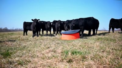 Image showing  Century Ground Level Mineral Feeder