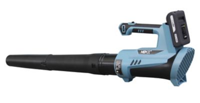 20 Volt Max* Cordless Blower (Battery and Charger Included), BLAX2