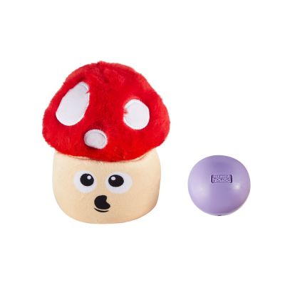 Outward Hound Snack Palz Mushroom Cute toy for my dog