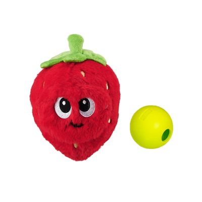 Outward Hound Fruity Findz Strawberry