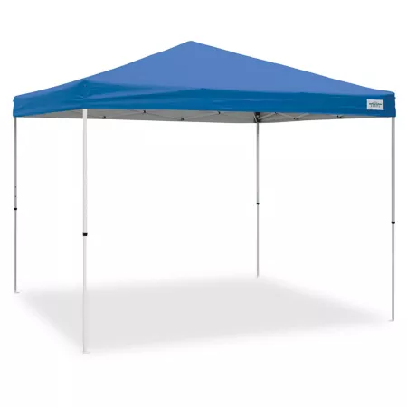 Caravan Awning 10' x 10' Awning V-Series 2 Pro V2P10021-TS Canopies