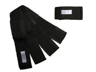 Image showing  Painter's Moving Straps