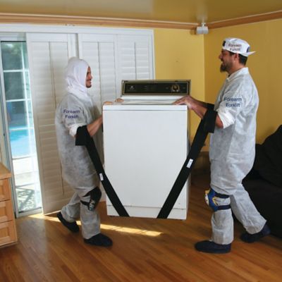 Image showing  Painter's Moving Straps